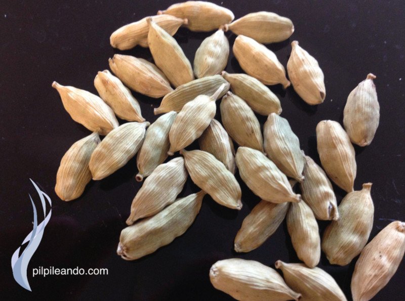 SEMILLAS CARDAMOMO LOGO