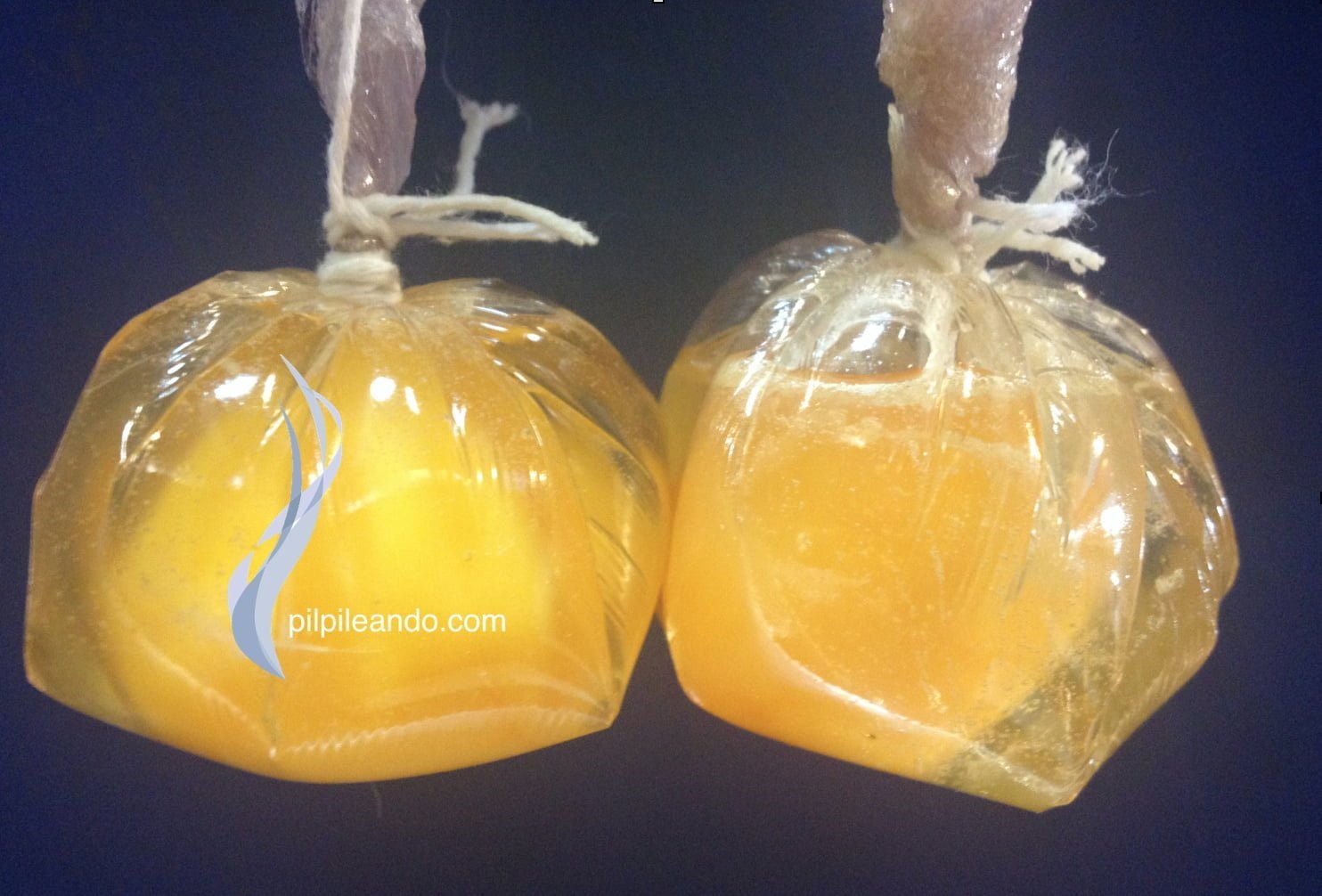 FLOR DE HUEVO DE ARZAK Guille Rodríguez