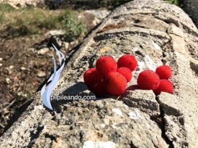 CHUTNEY DE MADROÑOS