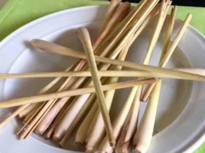 LEMON GRASS, QUÉ ES ?