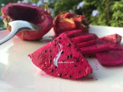 PITAHAYA, PLEASED TO MET YOU
