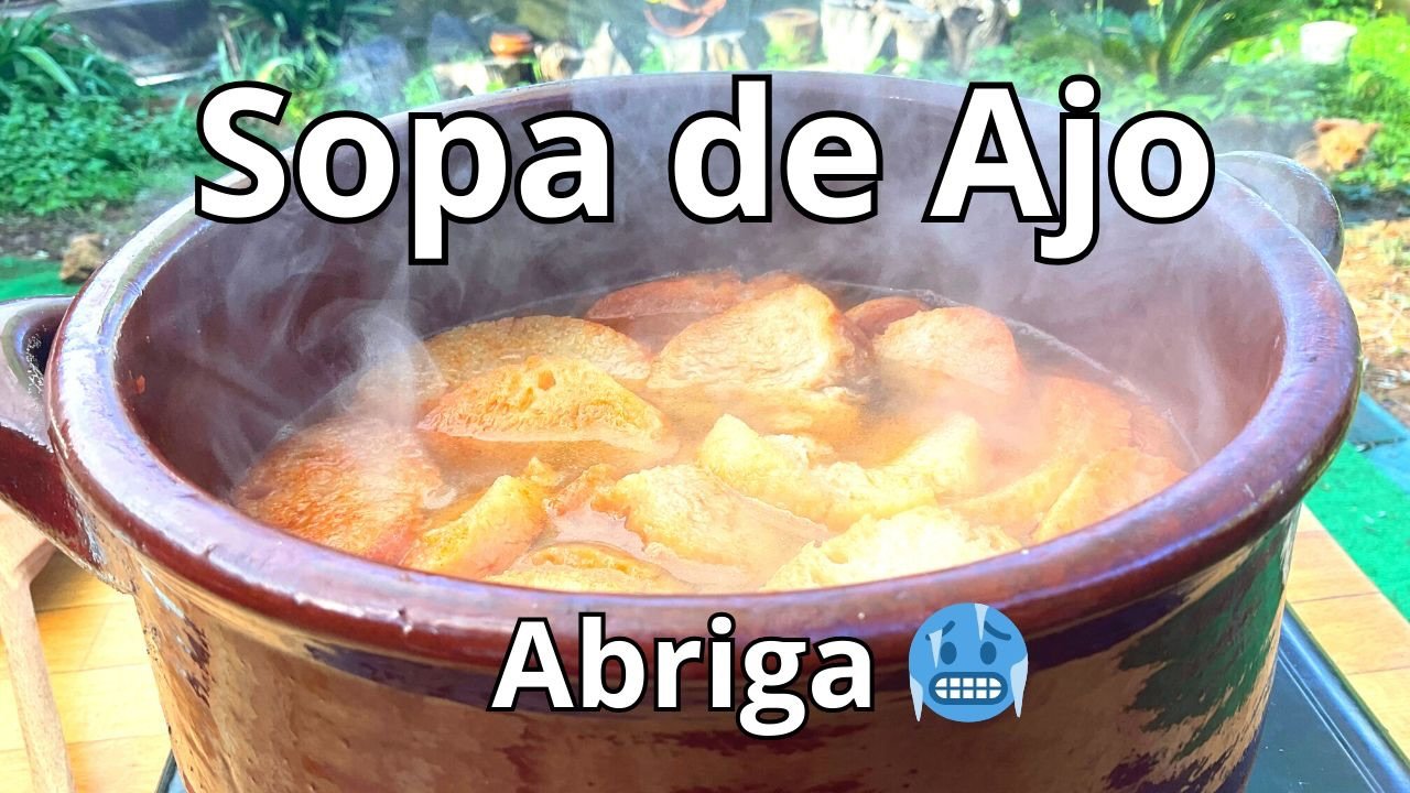 🔥 Hoy hacemos SOPA DE AJO CASTELLANA: la receta de cuchara más fácil, económica y reconfortante.
Con pan duro, ajito, jamón y huevo… te salva una cena y te deja nuevo 🥣✨👉🏻 ENLACE A VIDEO RECETA EN EL LINK DE MMI BIOGRAFÍA: LinkTree#guillerodriguez #SOPA #Sopadeajo #sopacastellana #trucosdecocina